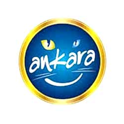 Ankara Büyükşehir